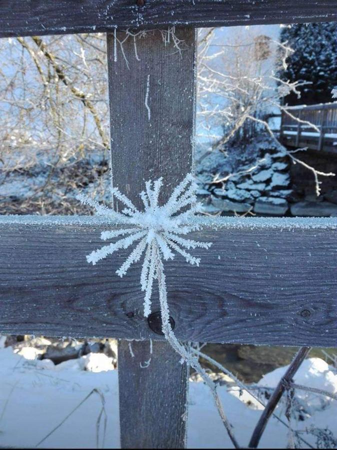 Gaesteheim Kroessbach Neustift im Stubaital Zewnętrze zdjęcie